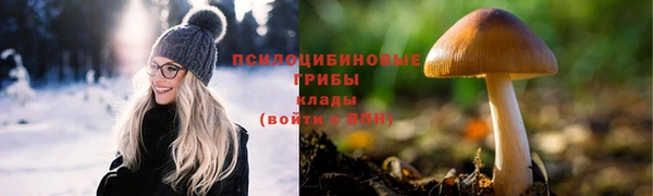 jwh Аркадак