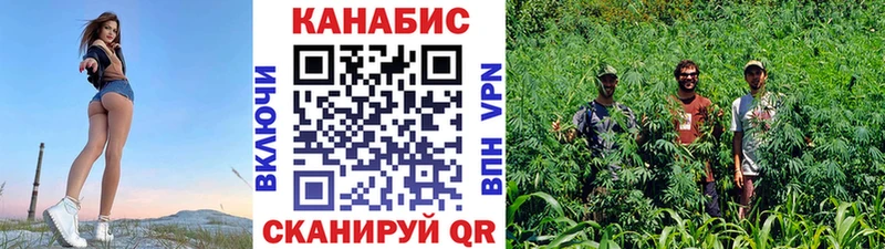 Канабис White Widow  Мамоново 